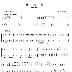 抬花轿 中音板胡二重奏