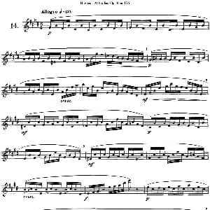 长笛曲谱 | 胡埃斯24首长笛练习曲Op.32 NO.14 胡埃斯