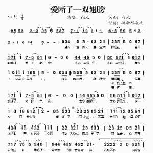 爱断了一双翅膀_歌谱投稿_词曲:雨天 雨天