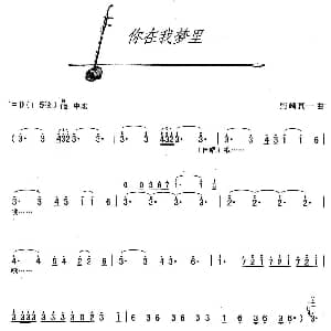 二胡谱 | 你在我梦里 野崎真一