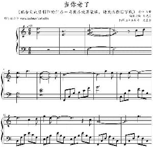 当你老了 钢琴谱 赵照作曲 文武贝钢琴改编