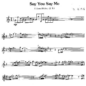 萨克斯谱 | say you say me
