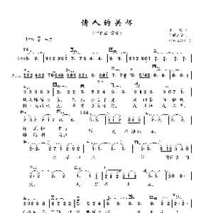 情人的关怀_歌曲简谱_词曲:庄奴 猪俣公章