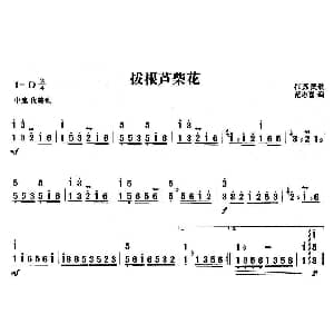 扬琴谱 | 拔根芦柴花