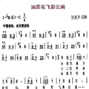 油菜花飞彩云南_民歌简谱_词曲:张东升 张东升
