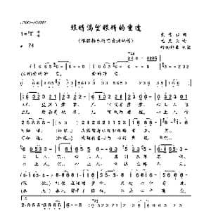 眼睛渴望眼睛的重逢_歌曲简谱_词曲:张俊以 孟庆云