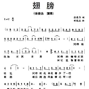 翅膀_通俗唱法乐谱_词曲:张思尔 林俊杰