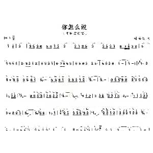 古筝谱 | 你怎么说 司马亮