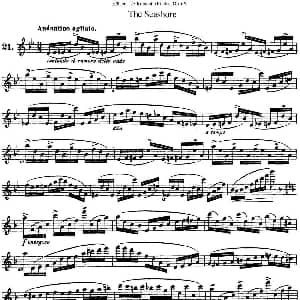 长笛曲谱 | 25首浪漫练习曲作品66号 NO.21 Kohler 柯勒