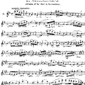 小提琴谱 | 马扎斯小提琴练习曲 Op.36 第一册 特殊练习曲 8