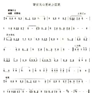 笛子谱 | 弹起我心爱的土琵琶 吕其明