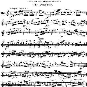 小提琴谱 | 马扎斯小提琴练习曲 Op.36 第二册 华丽练习曲 34