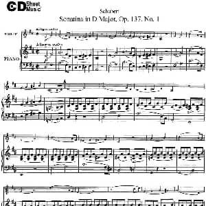 小提琴谱 | Violin Sonatina in D major Op.137 No.1 小提琴 钢琴伴奏