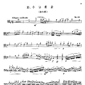 涅尔克小协奏曲 D大调 大提琴 涅尔克