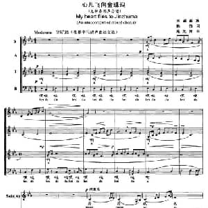 心儿飞向金珠玛_合唱歌谱_词曲:韩伟 施光南