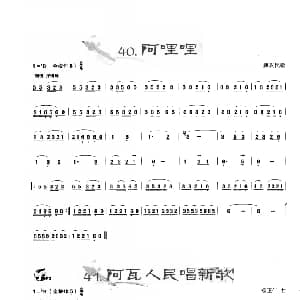 葫芦丝谱 | 葫芦丝曲精选 阿哩哩 阿佤人民唱新歌 王甲坤 王甲华编著