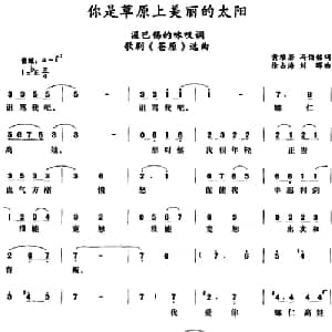 你是草原上美丽的太阳 _外国歌谱_词曲:黄维若 冯伯铭 徐占海 刘晖