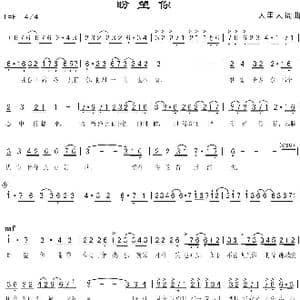 盼望你_歌曲简谱_词曲:人里人 人里人