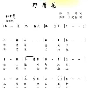 野菊花_儿歌乐谱_词曲:杨显群 陈玲 王海音