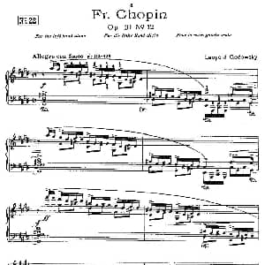 肖邦 练习曲 Fr.Chopin Op.10 No12 钢琴谱 Godowsky改编