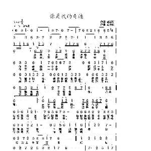 你是我的奇迹_歌曲简谱_词曲:聂建新 武俊毅