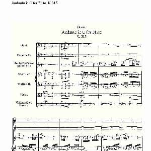 长笛曲谱 | Andante in C for Flute, K.315 D调长笛行板协奏曲, K.315
