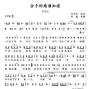 分手的痛谁知道_歌谱投稿_词曲:陈天红 陈天红