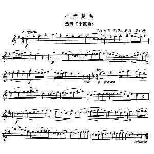 长笛曲谱 | 小步舞曲 选自 小夜曲 独奏部分