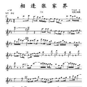 相逢张家界长笛分谱_歌曲简谱_词曲: 邹启炎