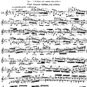 小提琴谱 | 马扎斯小提琴练习曲 Op.36 第一册 特殊练习曲 23