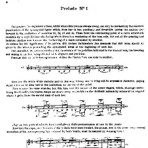 Preludes Op.28 钢琴谱 肖邦 chopin