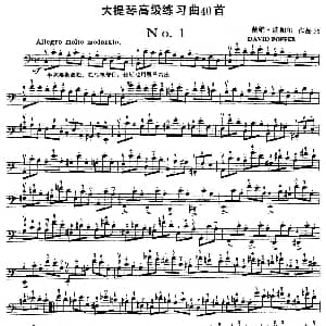 大提琴高级练习曲40首 No.1 戴维 波帕尔