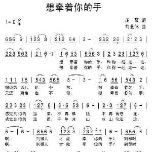 想牵着你的手_通俗唱法乐谱_词曲:正琴 刘北休