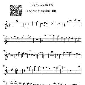 斯卡布罗集市小提琴谱_歌谱投稿