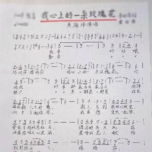 我是玄武湖的一朵浪花_歌谱投稿_词曲:谢意伟 甜业