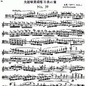 大提琴高级练习曲40首 No.39 戴维 波帕尔
