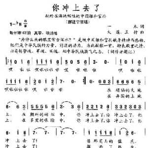 你冲上去了 献给在海地牺牲的中国维和官兵_民歌简谱_词曲:一木 大漠 五行