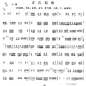 双凤朝阳 广东乐曲