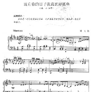 没有你的日子我真的好孤单 钢琴谱 胡力