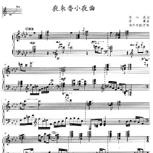 夜来香小夜曲_通俗唱法乐谱_词曲:符小凌 利用