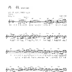 电子琴谱 | 两极 线简混排弹唱谱 彭莒从 彭莒从