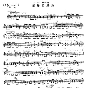 紫鬃的走马 冬不拉