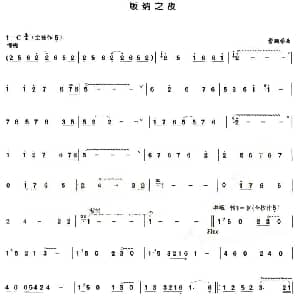 葫芦丝谱 | 版纳之夜 曹鹏举