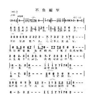 不负韶华_歌曲简谱_词曲:晨歌 晨歌