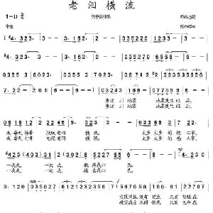 老泪横流_通俗唱法乐谱_词曲:邓新志 陈和昭
