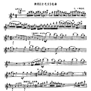 长笛曲谱 | 舞剧 白毛女 选曲 马可等原曲 许卫信改编