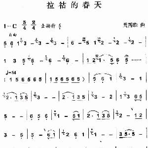 葫芦丝谱 | 拉祜的春天 周秀珠