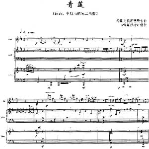 青莲 琵琶 中阮与钢琴三重奏 符译文