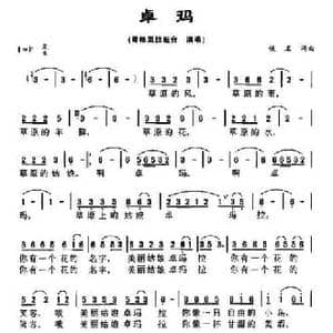 卓玛_民歌简谱