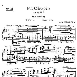 53首改编练习曲 钢琴谱 里奥鲍尔德 戈多夫斯基